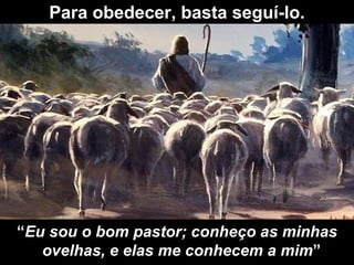 Para obedecer, basta seguí-lo. “ Eu sou o bom pastor; conheço as minhas ovelhas, e elas me conhecem a mim ”  