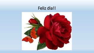 Feliz dia!!