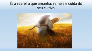 És a seareira que amanha, semeia e cuida do
seu cultivo