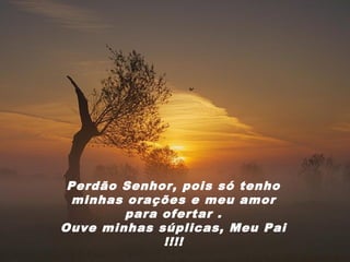 Perdão Senhor, pois só tenho
  minhas orações e meu amor
        para ofertar .
Ouve minhas súplicas, Meu Pai
             !!!!
 