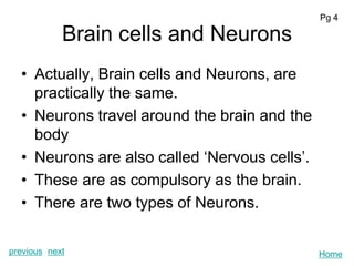 Pg 4

            Brain cells and Neurons
  • Actually, Brain cells and Neurons, are
    practically the same.
  • Neurons travel around the brain and the
    body
  • Neurons are also called ‘Nervous cells’.
  • These are as compulsory as the brain.
  • There are two types of Neurons.

previous next                                  Home
 