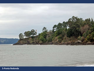 5-Punta Redonda
 