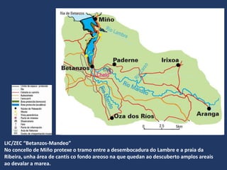 LIC/ZEC “Betanzos-Mandeo”
No concello de Miño protexe o tramo entre a desembocadura do Lambre e a praia da
Ribeira, unha área de cantís co fondo areoso na que quedan ao descuberto amplos areais
ao devalar a marea.
 
