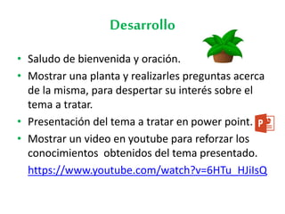Desarrollo
• Saludo de bienvenida y oración.
• Mostrar una planta y realizarles preguntas acerca
de la misma, para despertar su interés sobre el
tema a tratar.
• Presentación del tema a tratar en power point.
• Mostrar un video en youtube para reforzar los
conocimientos obtenidos del tema presentado.
https://www.youtube.com/watch?v=6HTu_HJiIsQ
 