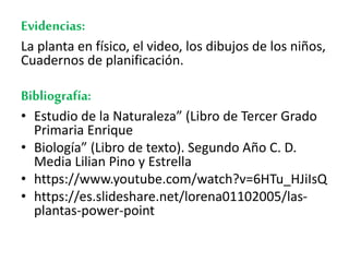 Evidencias:
La planta en físico, el video, los dibujos de los niños,
Cuadernos de planificación.
Bibliografía:
• Estudio de la Naturaleza” (Libro de Tercer Grado
Primaria Enrique
• Biología” (Libro de texto). Segundo Año C. D.
Media Lilian Pino y Estrella
• https://www.youtube.com/watch?v=6HTu_HJiIsQ
• https://es.slideshare.net/lorena01102005/las-
plantas-power-point
 