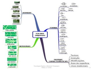 DEVELOP D3 Atividade: Mapa  Conceitual Tecnologias Digitais e Mediação Pedagógica Welton S. Fontes 