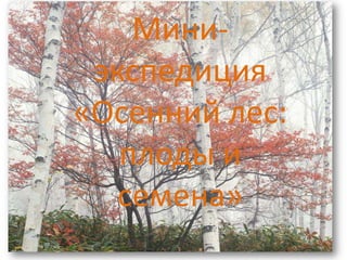 Мини-экспедиция «Осенний лес: плоды исемена» 
