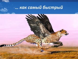 … как самый быстрый
 