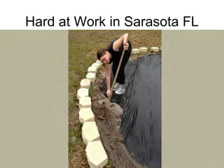 Hard at Work in Sarasota FL
 