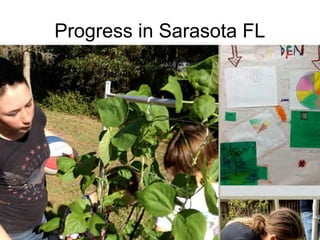 Progress in Sarasota FL
 
