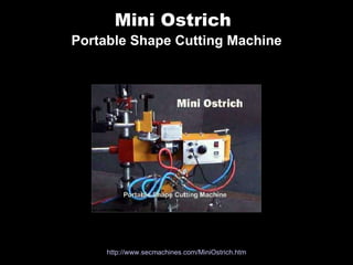 Mini Ostrich   Portable Shape Cutting Machine http://www. secmachines .com/ MiniOstrich . htm 