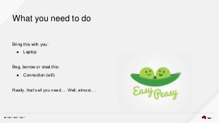 What you need to do
Bring this with you:
● Laptop
Beg, borrow or steal this:
● Connection (wifi)
Really, that’s all you need…. Well, almost….
 