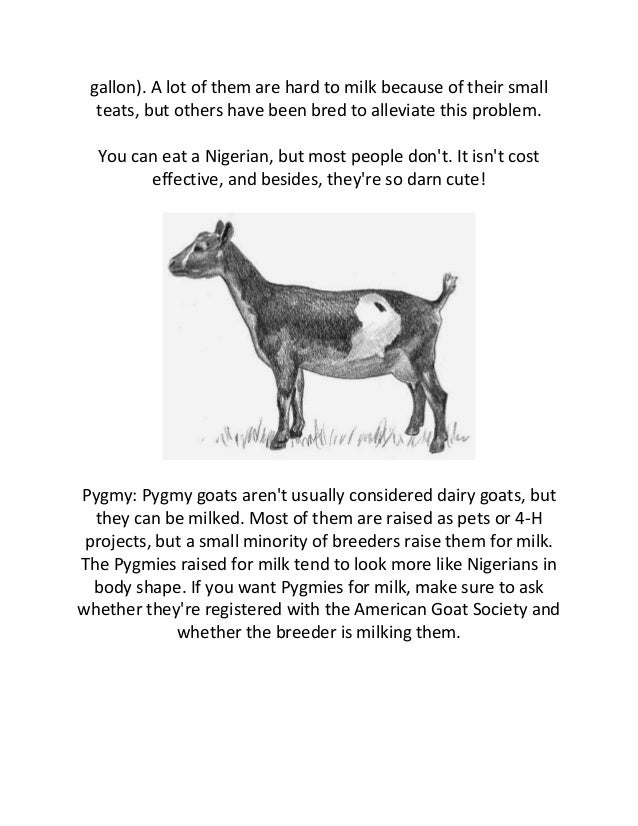 dairy goat breeds