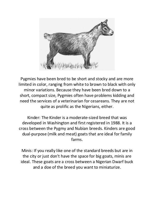 dairy goat breeds