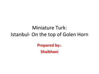 Miniature Turk: Istanbul- On the top of Golen Horn Prepared by:. Shaikhani 