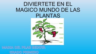 DIVIERTETE EN EL
MAGICO MUNDO DE LAS
PLANTAS
A_PLANTA.jpeg
https://upload.wikimedia.org/wikipedia/commons/c/cf/PARTES_DE_UN
 