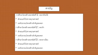 สารบัญ
การศึกษาโครงสร้างดอกชนิดที่ 1 : ดอกกล้วยไม้
• ลักษณะทั่วไปทางพฤกษศาสตร์
• องค์ประกอบโครงสร้างสาคัญขอองดอก
การศึกษาโครงสร้างดอกชนิดที่ 2 : ดอกรัก
• ลักษณะทั่วไปทางพฤกษศาสตร์
• องค์ประกอบโครงสร้างสาคัญขอองดอก
การศึกษาโครงสร้างดอกชนิดที่ 3 : ดอกดาวเรือง
• ลักษณะทั่วไปทางพฤกษศาสตร์
• องค์ประกอบโครงสร้างสาคัญขอองดอก
 
