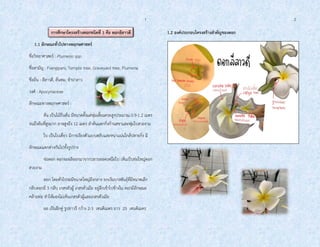 1 2
การศึกษาโครงสร้างดอกชนิดที่ 1 คือ ดอกลีลาวดี
1.1 ลักษณะทั่วไปทางพฤกษศาสตร์
ชื่อวิทยาศาสตร์ : Plumeria spp.
ชื่อสามัญ : Frangipani, Temple tree, Graveyard tree, Plumeria.
ชื่อถิ่น : ลีลาวดี, ลั่นทม, จาปาลาว
วงศ์ : Apocynaceae
ลักษณะทางพฤกษศาสตร์ :
ต้น เป็นไม้ยืนต้น มีขนาดตั้งแต่พุ่มเตี้ยแคระสูงประมาณ 0.9-1.2 เมตร
จนถึงต้นที่สูงมาก อาจสูงถึง 12 เมตร ลาต้นแตกกิ่งก้านสขาและพุ่มใบสวยงาม
ใบ เป็นใบเดี่ยว มีการเรียงตัวแบบสลับและหนาแน่นใกล้ปลายกิ่ง มี
ลักษณะแตกต่างกันไปทั้งรูปร่าง
ช่อดอก ดอกจะผลิออกมาจากปลายยอดเหนือใบ เห็นเป็นช่อใหญ่ดอก
สวยงาม
ดอก โดยทั่วไปจะมีขนาดใหญ่ถึงกลาง ยกเว้นบางพันธุ์ที่มีขนาดเล็ก
กลีบดอกมี 5 กลีบ เกสรตัวผู้ เกสรตัวเมีย อยู่ลึกเข้าไปข้างใน ดอกมีลักษณะ
คล้ายท่อ ทาให้มองไม่เห็นเกสรตัวผู้และเกสรตัวเมีย
ผล เป็นฝักคู่ รูปยาวรี กว้าง 2-3 เซนติเมตร ยาว 25 เซนติเมตร
1.2 องค์ประกอบโครงสร้างสาคัญของดอก
 