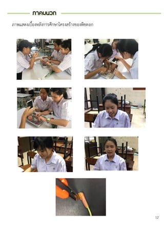 ภาคผนวกภาคผนวก
12
ภาพแสดงเบื้องหลังการศึกษาโครงสร้างของพืชดอก
 