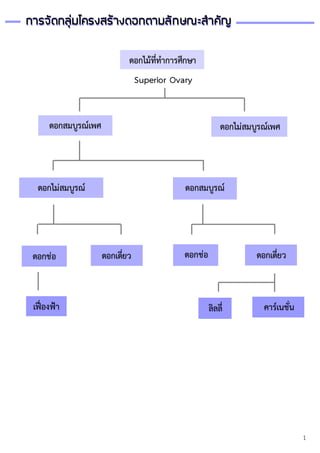 1
การจัดกลุ่มโครงสร้างดอกตามลักษณะสาคัญการจัดกลุ่มโครงสร้างดอกตามลักษณะสาคัญ
ดอกไม้ที่ทาการศึกษา
ดอกไม่สมบูรณ์
ดอกช่อ ดอกเดี่ยว
ลิลลี่ คาร์เนชั่นเฟื่องฟ้า
ดอกไม่สมบูรณ์เพศ
ดอกสมบูรณ์
ดอกสมบูรณ์เพศ
ดอกเดี่ยวดอกช่อ
Superior Ovary
 