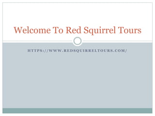 H T T P S : / / W W W . R E D S Q U I R R E L T O U R S . C O M /
Welcome To Red Squirrel Tours
 