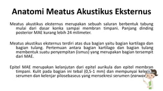 Anatomi Meatus Akustikus Eksternus
Meatus akustikus eksternus merupakan sebuah saluran berbentuk tabung
mulai dari dasar konka sampai membran timpani. Panjang dinding
posterior MAE kurang lebih 24 milimeter.
Meatus akustikus eksternus terdiri atas dua bagian yaitu bagian kartilago dan
bagian tulang. Pertemuan antara bagian kartilago dan bagian tulang
membentuk suatu penyempitan (ismus) yang merupakan bagian tersempit
dari MAE.
Epitel MAE merupakan kelanjutan dari epitel aurikula dan epitel membran
timpani. Kulit pada bagian ini tebal (0,5-1 mm) dan mempunyai kelenjar
serumen dan kelenjar pilosebaseus yang mensekresi serumen (earwax)
 