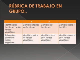 3

2

1

Identifico las
funciones de los
tejidos
vegetales.

Completo todas
las funciones.

Completo 2
funciones.

Complet...