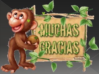 Mini clase.LOS TEJIDOS VEGETALES.