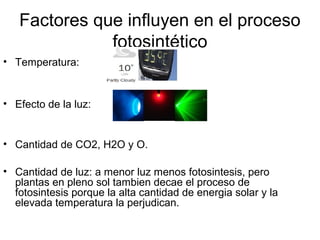 Factores que influyen en el proceso
fotosintético
• Temperatura:
• Efecto de la luz:
• Cantidad de CO2, H2O y O.
• Cantidad de luz: a menor luz menos fotosintesis, pero
plantas en pleno sol tambien decae el proceso de
fotosintesis porque la alta cantidad de energia solar y la
elevada temperatura la perjudican.
