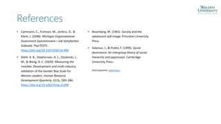 References
• Cammann, C., Fichman, M., Jenkins, D., &
Klesh, J. (2008). Michigan Organizational
Assessment Questionnaire—Job Satisfaction
Subscale. PsycTESTS.
https://doi.org/10.1037/t09214-000
• Diehl, A. B., Stephenson, A. L., Dzubinski, L.
M., & Wang, D. C. (2020). Measuring the
invisible: Development and multi-industry
validation of the Gender Bias Scale for
Women Leaders. Human Resource
Development Quarterly, 31(3), 249–280.
https://doi.org/10.1002/hrdq.21389
• Rosenberg, M. (1965). Society and the
adolescent self-image. Princeton University
Press.
• Sidanius, J., & Pratto, F. (1999). Social
dominance: An intergroup theory of social
hierarchy and oppression. Cambridge
University Press.
PHOTOGRAPHY: UNSPLASH+
 
