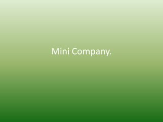 Mini Company. 