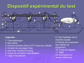 Dispositif expérimental du test
                                          6                                    1
       9
                                                 5
           8
                                    7
                                                                       3
                                                                                   12
10
                                                             4
                                                                           2


                  11


     Légendes                                             8: Voie d’aération de la
     : Thermoplongeur
     1:                                                   chambre basale
     2: Bain-Marie                                        9: Rampe de suspension
     3: Conduit d’entrée d’eau à 37°C dans les cellules   des cellules de
     4: Conduit de recyclage d’eau                        gorgement
     5: Voie pour introduire le sang                      10: Cadre de support
     6: Tuyau de connexion intercellulaire                11: Table
     7: Cage à moustiques                                 12: Connexion au
                                                          secteur éléctrique
 