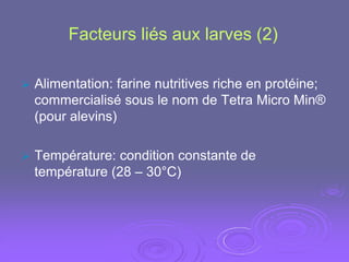 Facteurs liés aux larves (2)

   Alimentation: farine nutritives riche en protéine;
    commercialisé sous le nom de Tetra Micro Min®
    (pour alevins)

   Température: condition constante de
    température (28 – 30°C)
 
