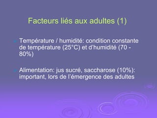 Facteurs liés aux adultes (1)

   Température / humidité: condition constante
    de température (25°C) et d’humidité (70 -
    80%)

   Alimentation: jus sucré, saccharose (10%):
    important, lors de l’émergence des adultes
 