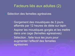 Facteurs liés aux adultes (2)

   Sélection des femelles agréssives

       • Gorgement des moustiques de 3 jours
         affamés par 12 heures de diète sur lapin
       • Aspirer les moustiques gorgés et les mettre
         dans une cage (femelles agressives)
       • Sélection , faite tous les jours pour
         augmenter l’effectif des femelles
         agréssives
 