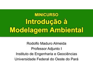 Rodolfo Maduro Almeida
Professor Adjunto I
Instituto de Engenharia e Geociências
Universidade Federal do Oeste do Pará

 