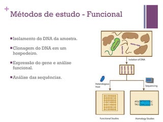 +
Métodos de estudo - Funcional
nIsolamento do DNA da amostra.
nClonagem do DNA em um
hospedeiro.
nExpressão do gene e análise
funcional.
nAnálise das sequências.
 