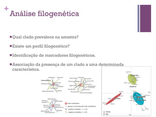 +
Análise filogenética
nQual clado prevalece na amostra?
nExiste um perfil filogenético?
nIdentificação de marcadores filogenéticos.
nAssociação da presença de um clado a uma determinada
característica.
 