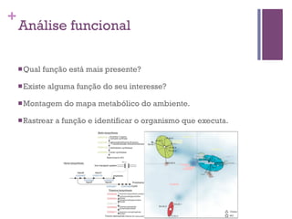 +
Análise funcional
nQual função está mais presente?
nExiste alguma função do seu interesse?
nMontagem do mapa metabólico do ambiente.
nRastrear a função e identificar o organismo que executa.
 