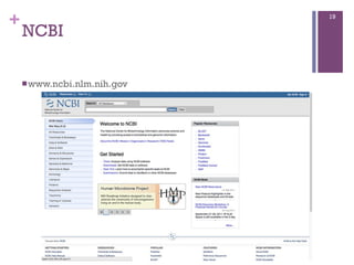 +
NCBI
nwww.ncbi.nlm.nih.gov
19
 