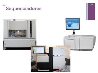 +
Sequenciadores
26
 