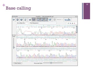 +
Base calling
27
 