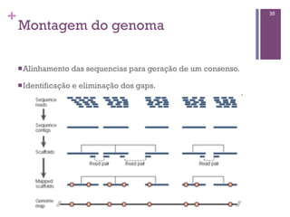 +
Montagem do genoma
nAlinhamento das sequencias para geração de um consenso.
nIdentificação e eliminação dos gaps.
35
 
