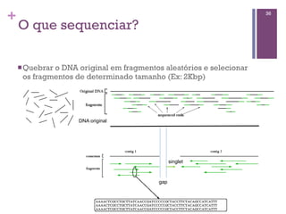 +
O que sequenciar?
nQuebrar o DNA original em fragmentos aleatórios e selecionar
os fragmentos de determinado tamanho (Ex: 2Kbp)
36
singlet
gap
DNA original
 