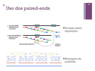+
Uso dos paired-ends
50
nDecisão sobre
repetições.
nMontagem de
scaffolds.
 