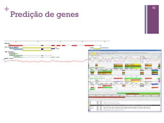 +
Predição de genes
52
 