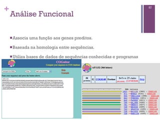 +
Análise Funcional
nAssocia uma função aos genes preditos.
nBaseada na homologia entre sequências.
nUtiliza bases de dados de sequências conhecidas e programas
de alinhamento.
57
 