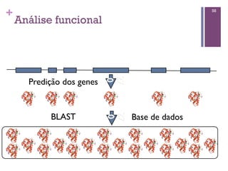 +
Análise funcional
58
27
0!
!
Predição dos genes!
27
0!
!
BLAST! Base de dados!
 