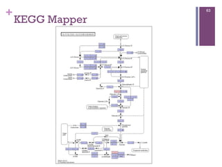 +
KEGG Mapper
63
 