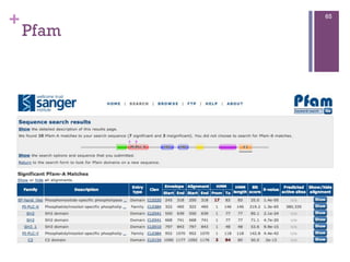 +
Pfam
65
 